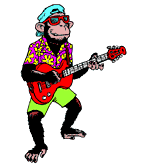 monkey