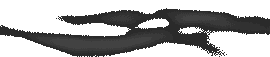 fog