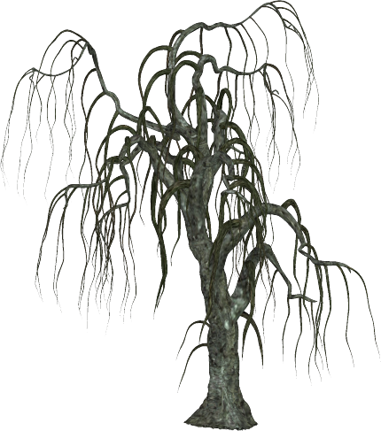 spooky tree